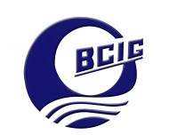 BH渤海化工 BH渤海化工