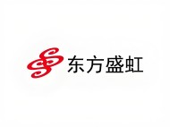 DFSH东方盛虹 DFSH东方盛虹