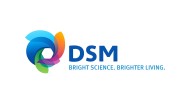 DSM DSM